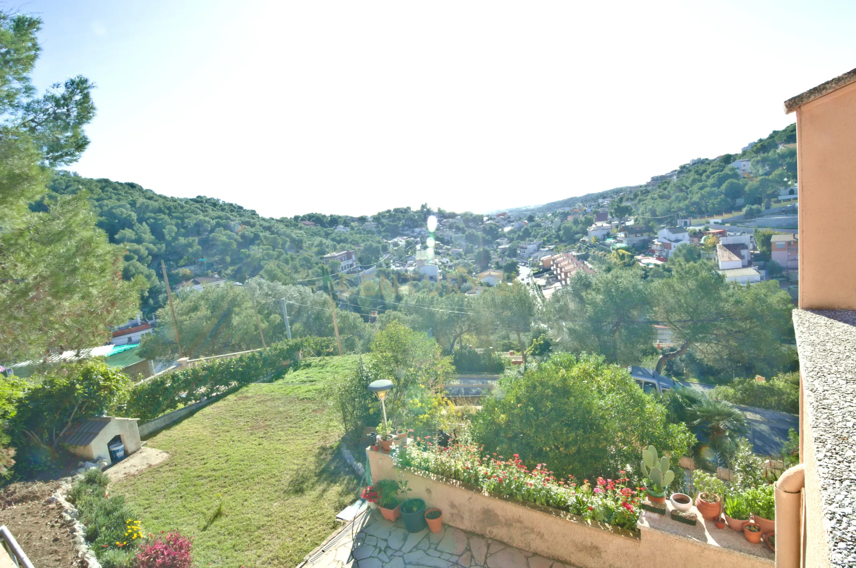 undefined - Image 19