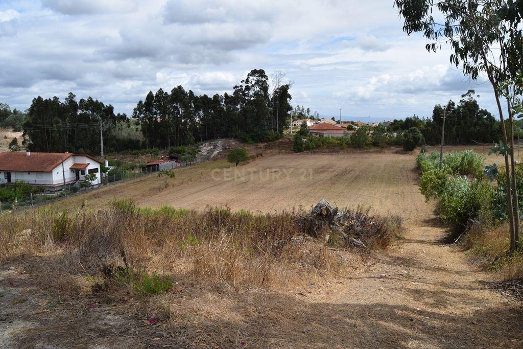 Terreno de 6 480m2 localizado na Carapinheira, Montemor o Velho - Image 3
