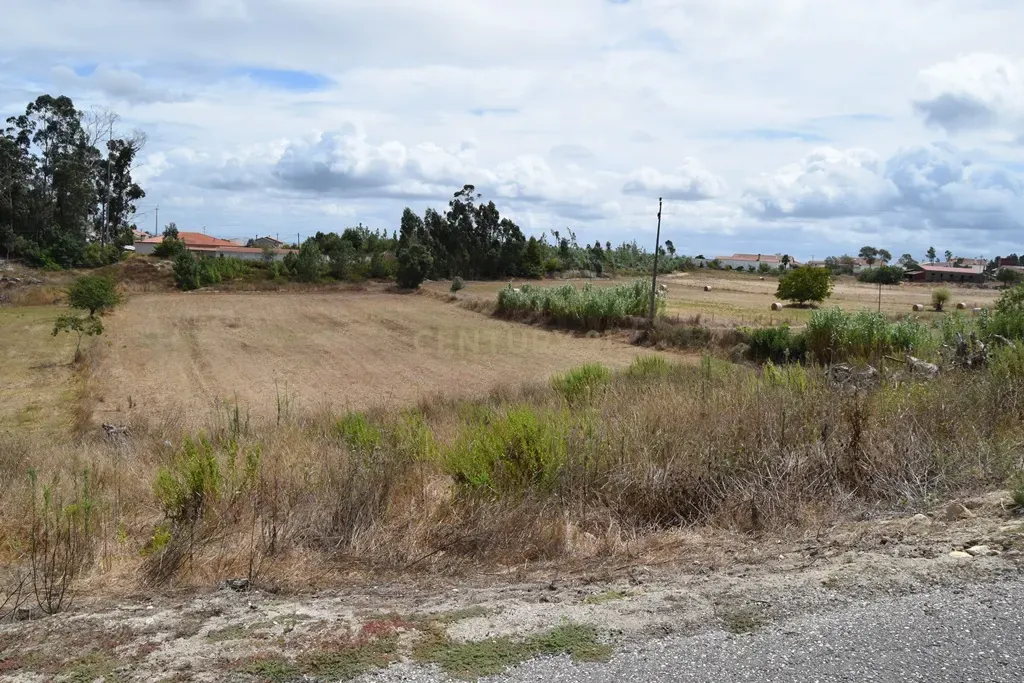 Terreno de 6 480m2 localizado na Carapinheira, Montemor o Velho - Image 1