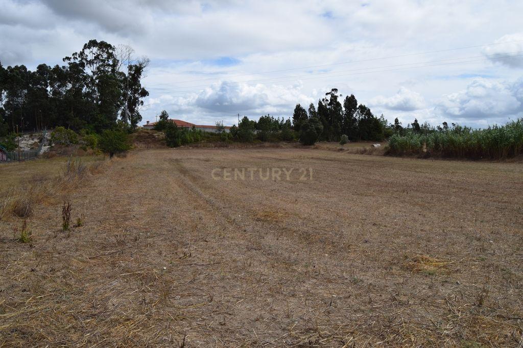 Terreno de 6 480m2 localizado na Carapinheira, Montemor o Velho - Image 7