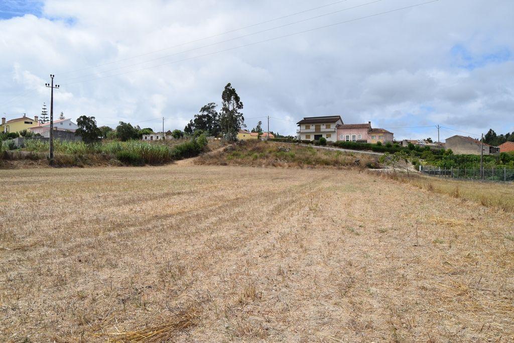 Terreno de 6 480m2 localizado na Carapinheira, Montemor o Velho - Image 4