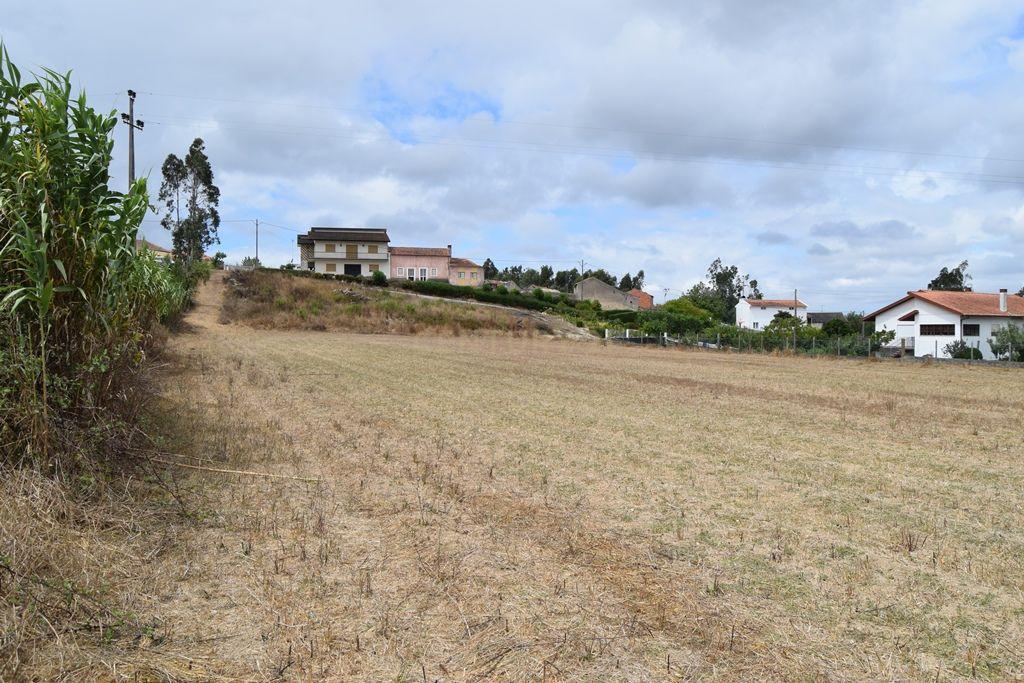 Terreno de 6 480m2 localizado na Carapinheira, Montemor o Velho - Image 5