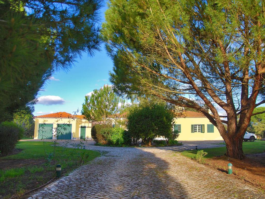 MORADIA TÉRREA | 4 QUARTOS | PISCINA | 20.000 m2 TERRENO | SANTO ESTEVÃO - Image 5