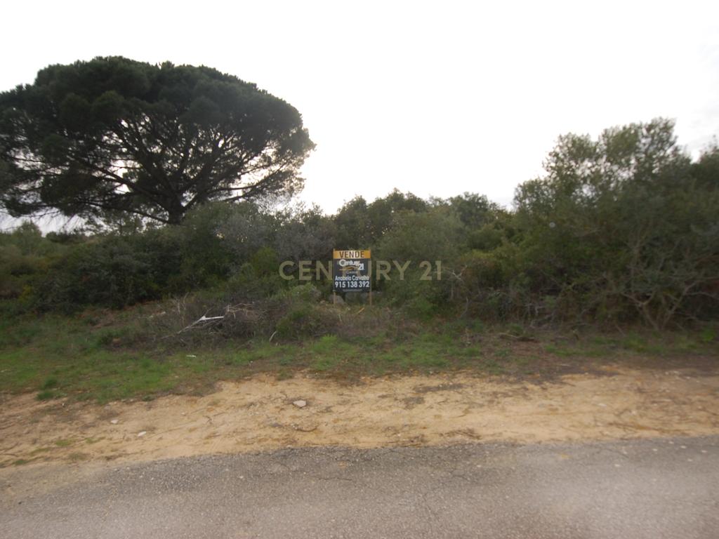 Terreno Rústico Novo em Sintra - Oportunidade Única! - Image 7