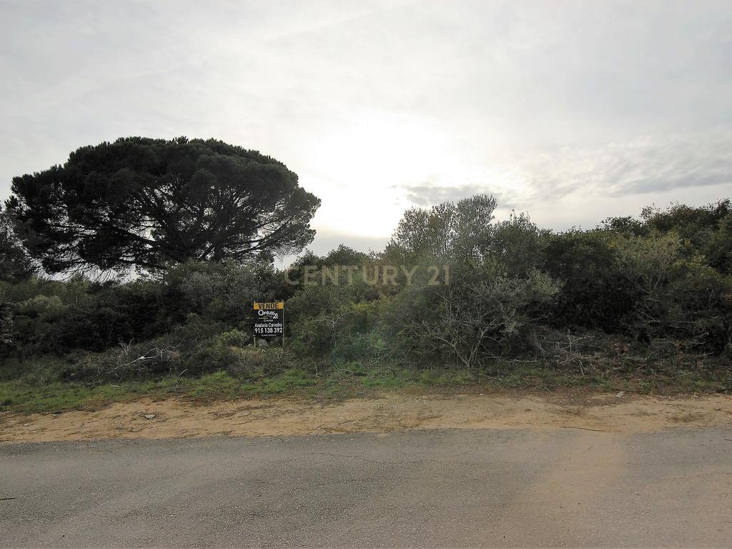 Terreno Rústico Novo em Sintra - Oportunidade Única! - Image 6