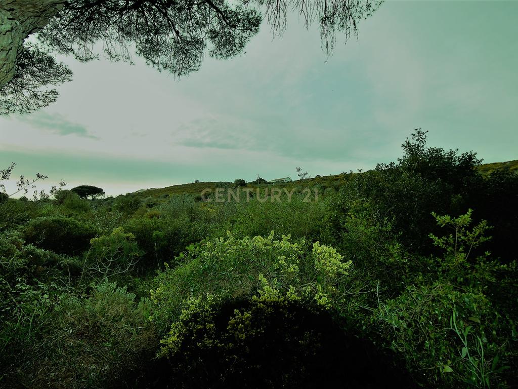 Terreno Rústico Novo em Sintra - Oportunidade Única! - Image 10