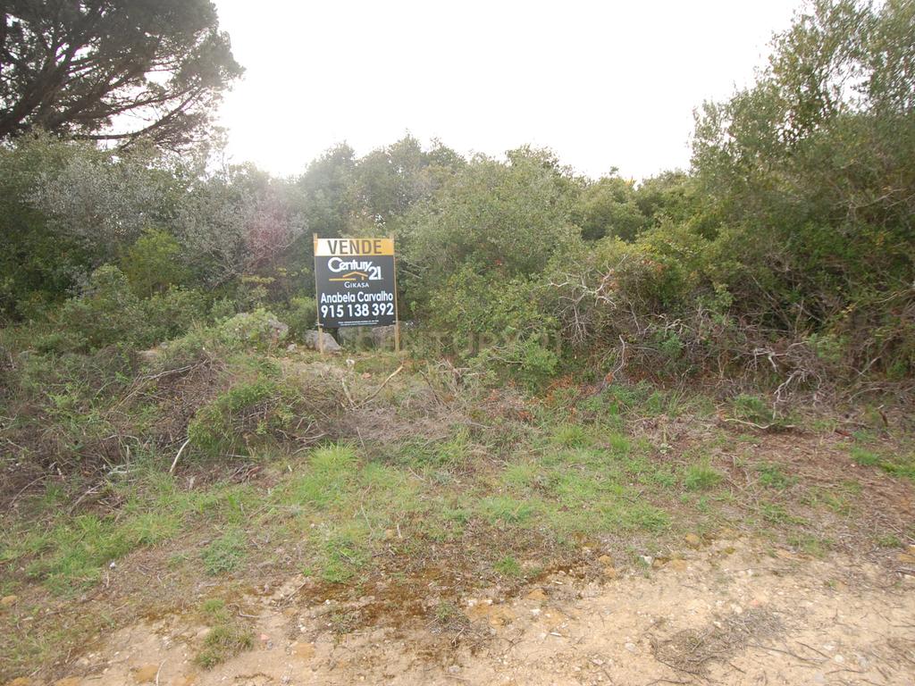 Terreno Rústico Novo em Sintra - Oportunidade Única! - Image 1