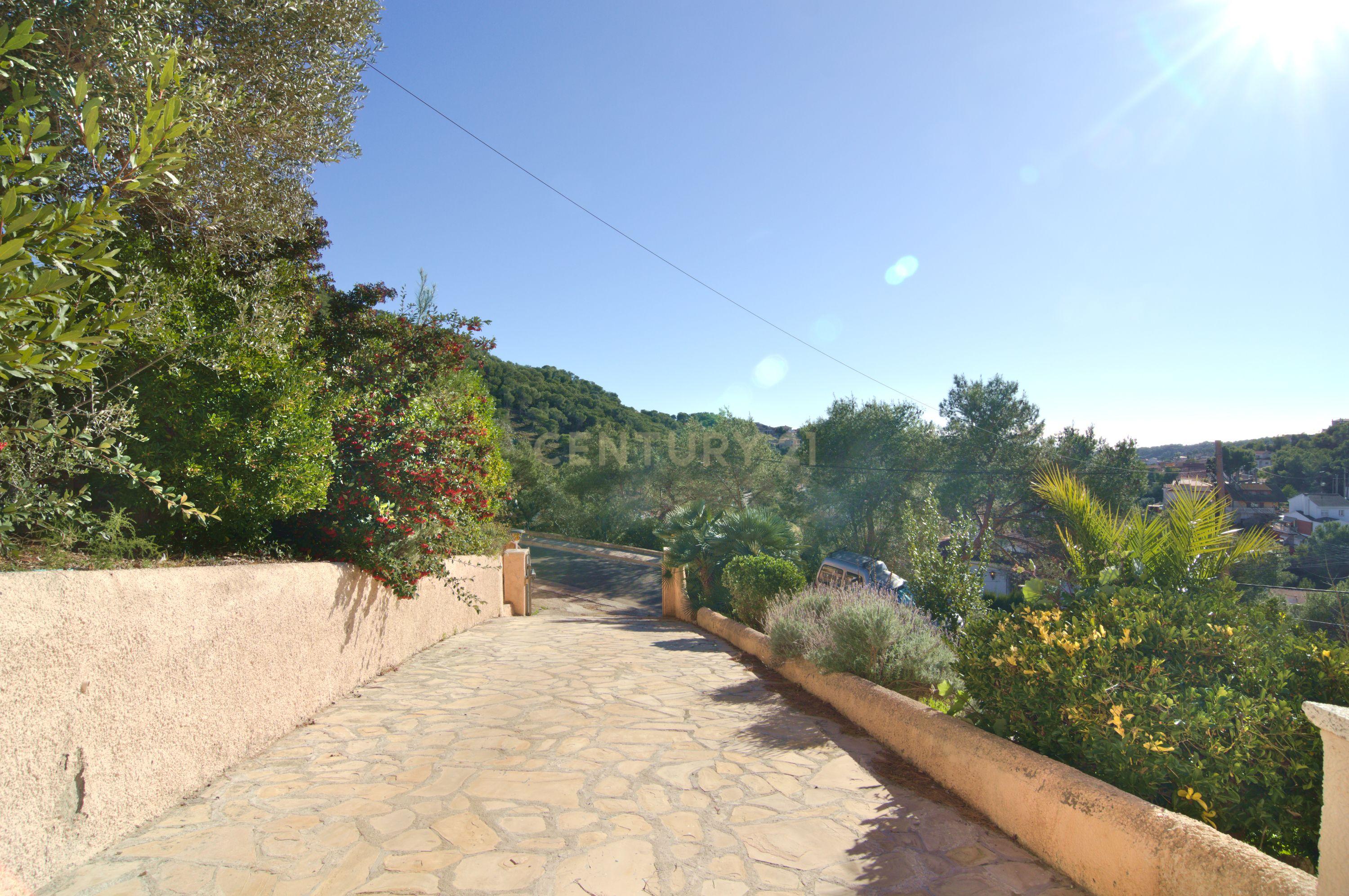 undefined - Image 30