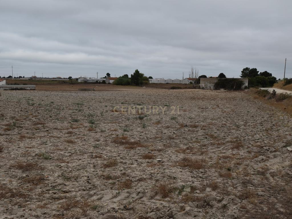 Montijo - Terreno Rústico em Sarilhos Grandes com acesso rápido à A33 - Image 18