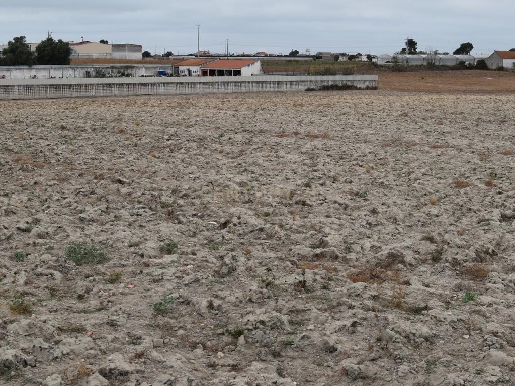 Montijo - Terreno Rústico em Sarilhos Grandes com acesso rápido à A33 - Image 22