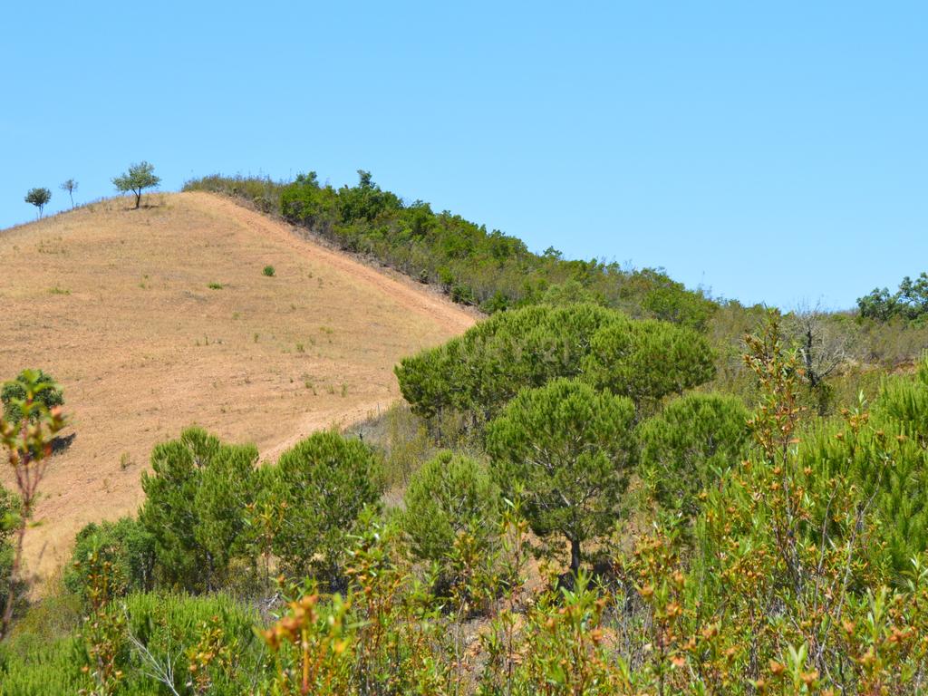 Terrenos Saboia - Odemira - Alentejo - Image 5
