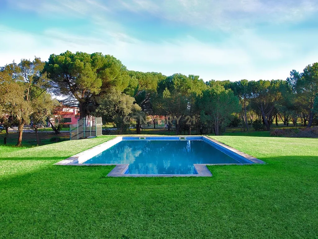 MORADIA TÉRREA | 4 QUARTOS | PISCINA | 20.000 m2 TERRENO | SANTO ESTEVÃO - Image 16