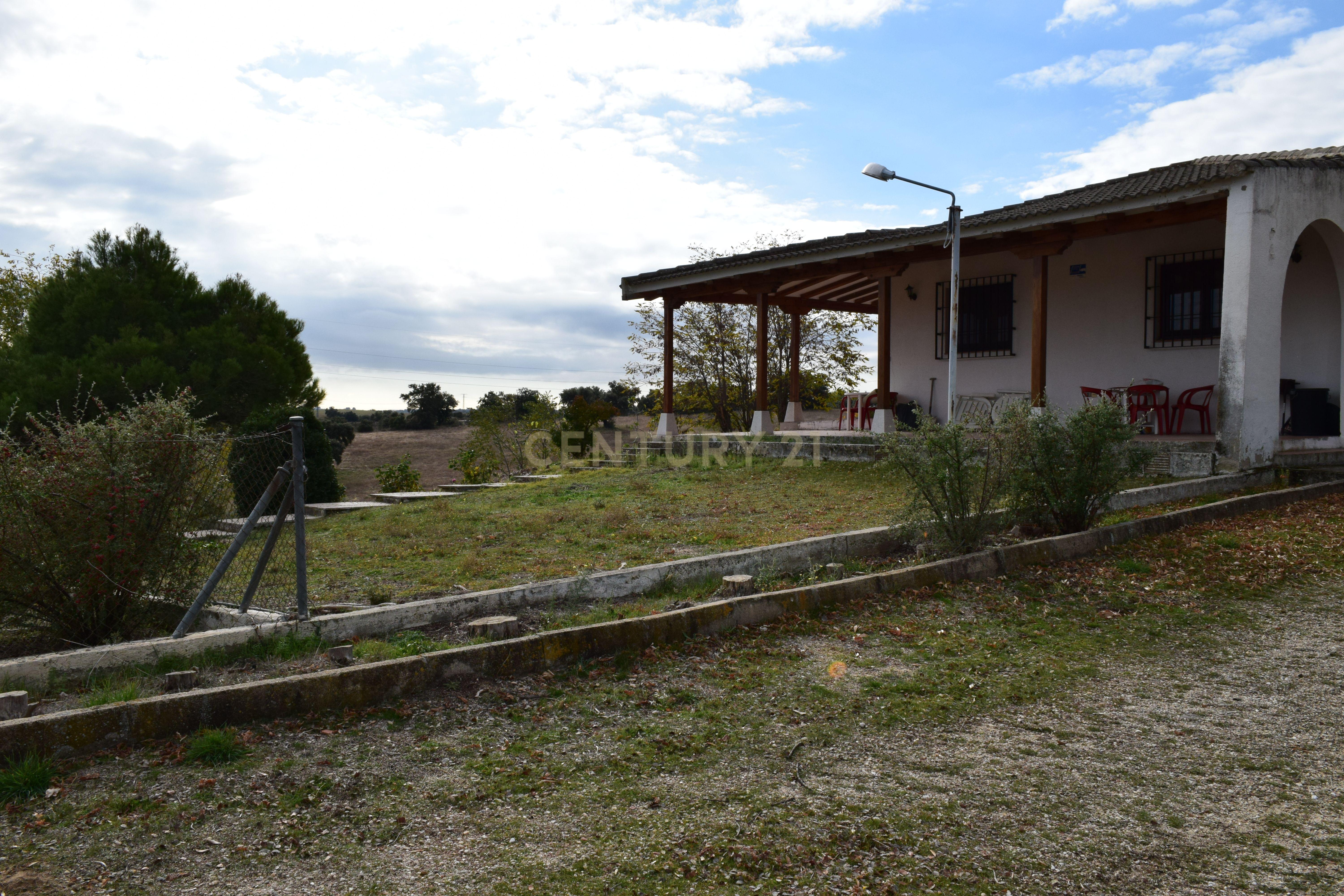 undefined - Image 4
