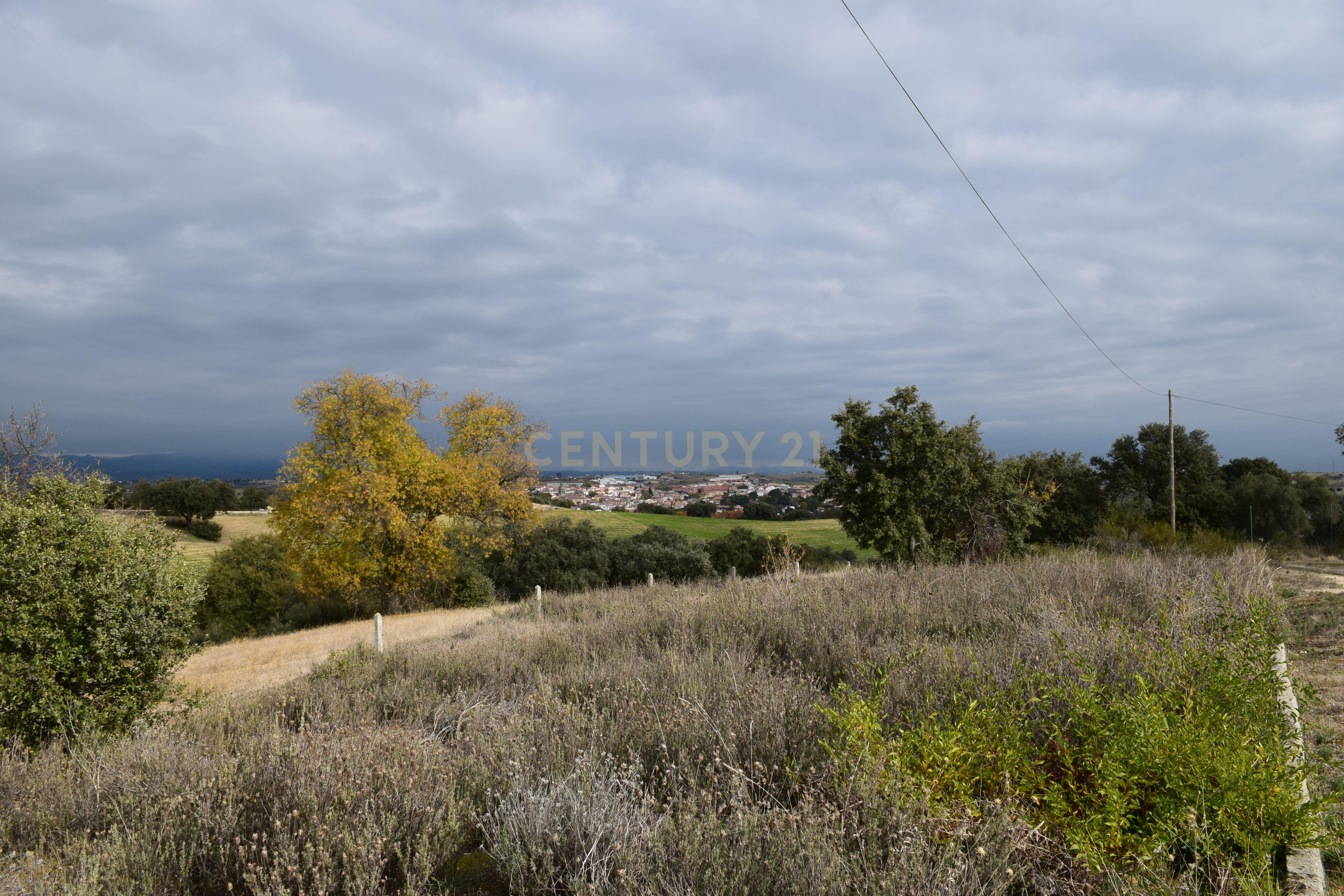 undefined - Image 5