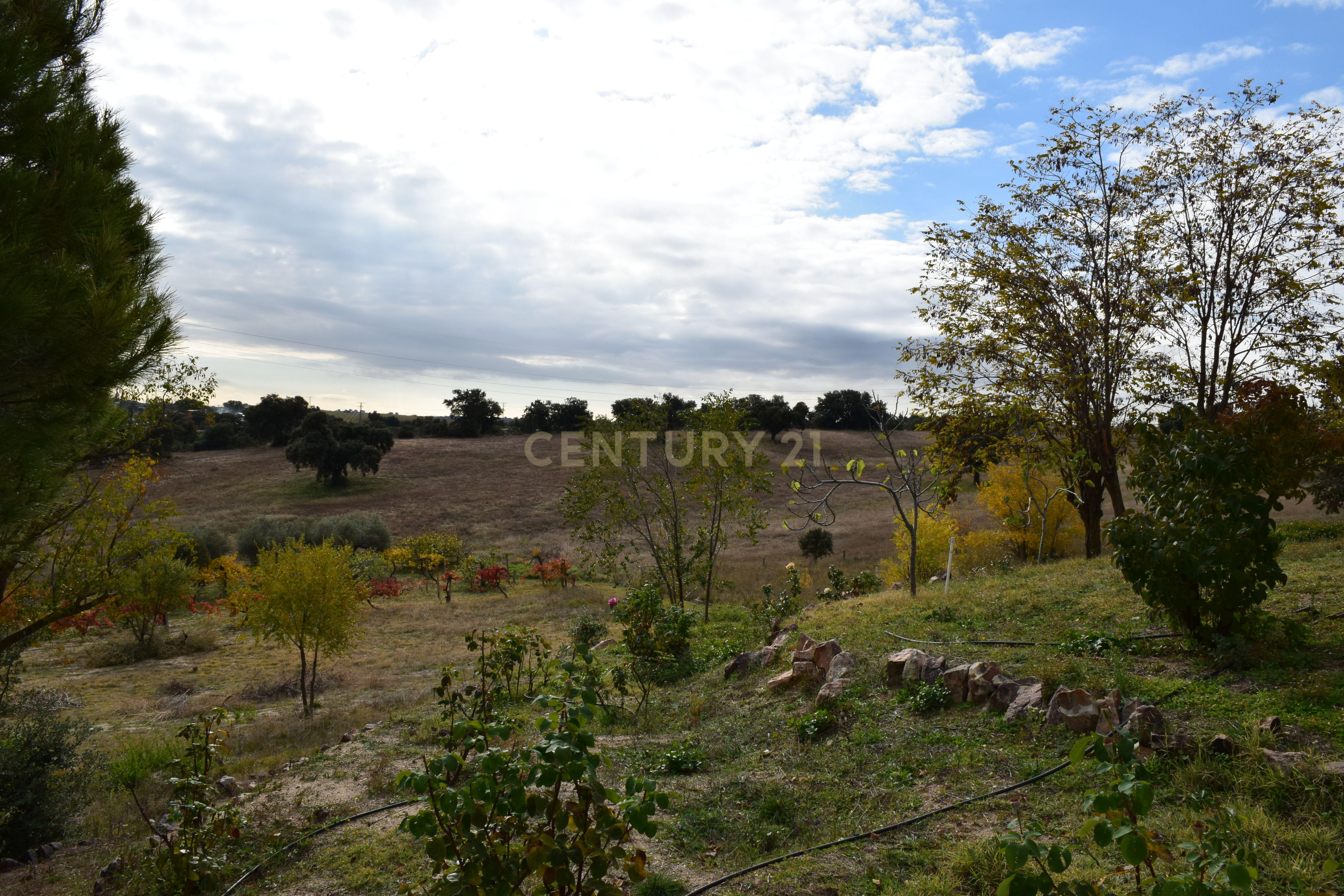 undefined - Image 6
