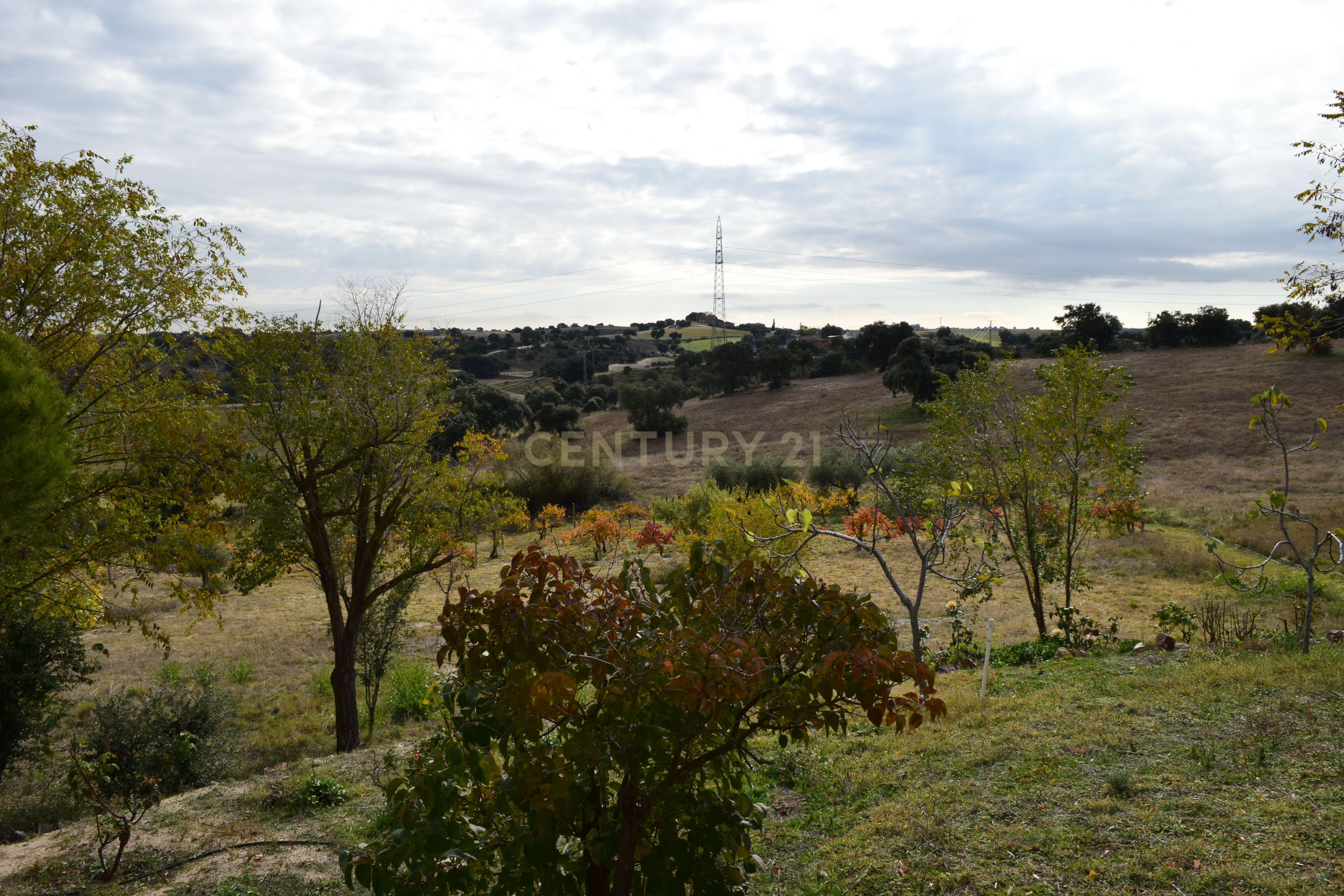 undefined - Image 7