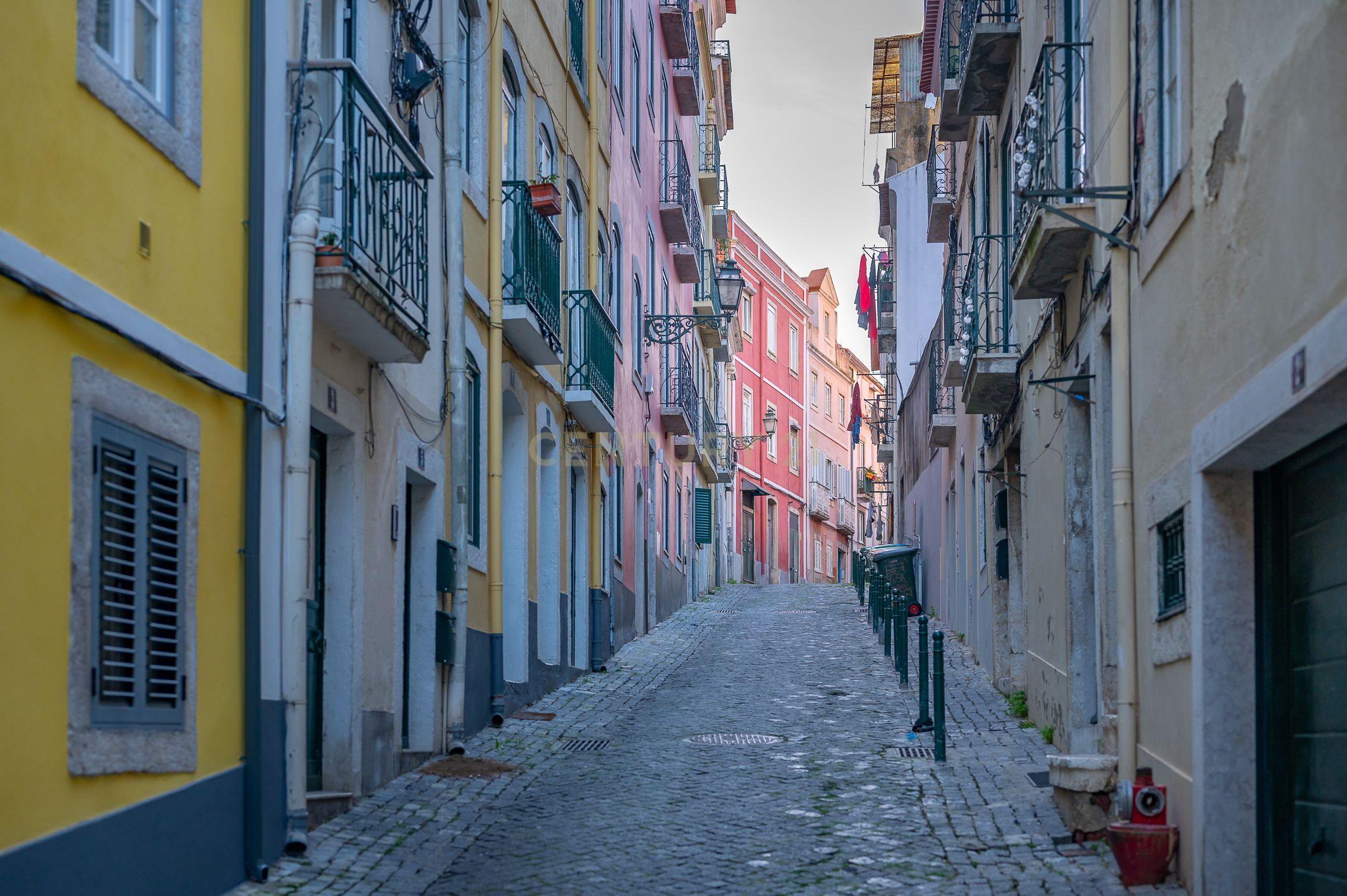 T1 em São Bento com logradouro exclusivo - Image 21