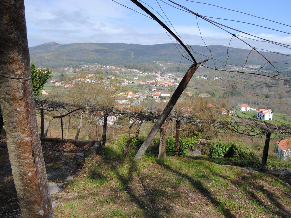 Quintinha em Covas - Vila Nova de Cerveira - Image 9