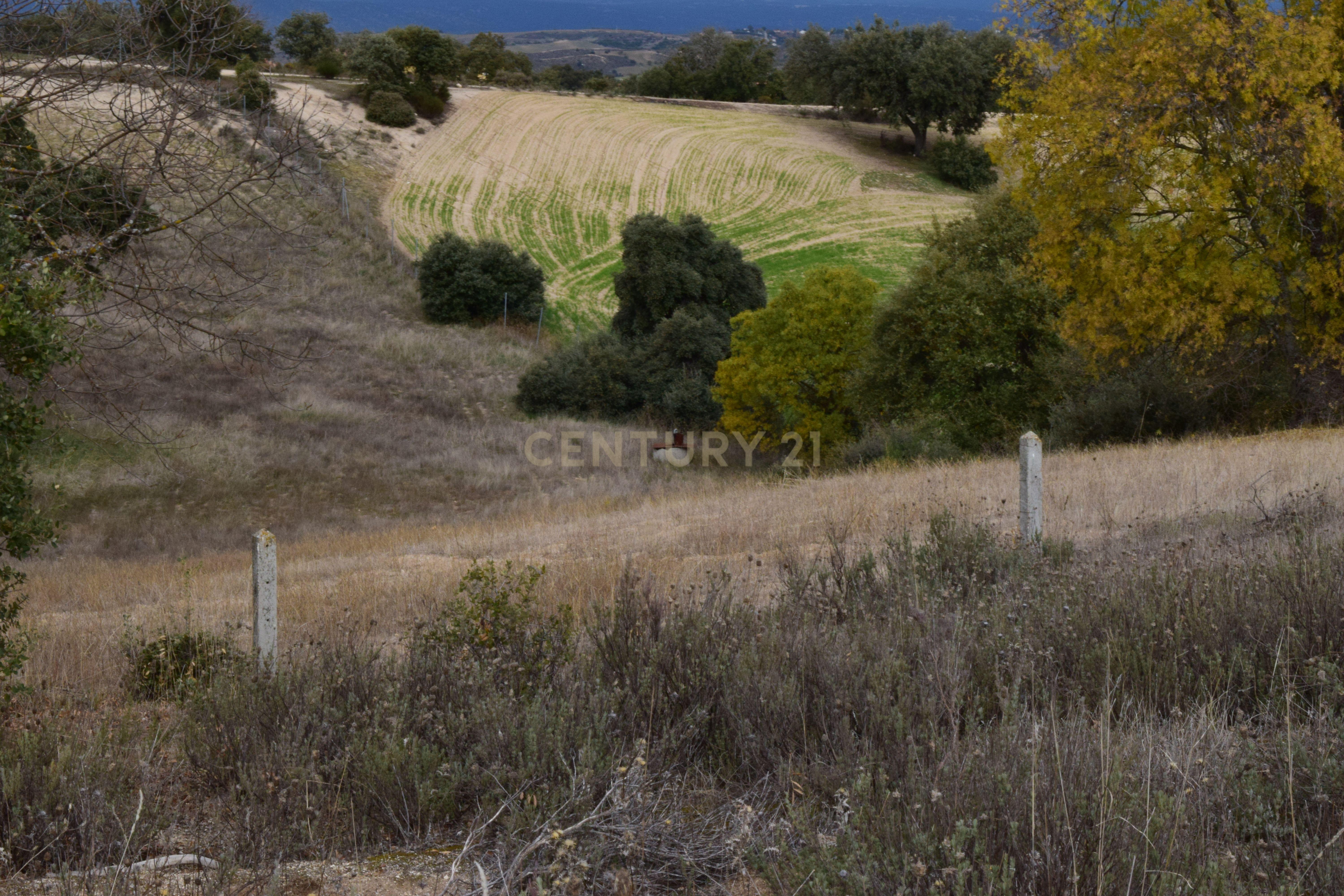 undefined - Image 28