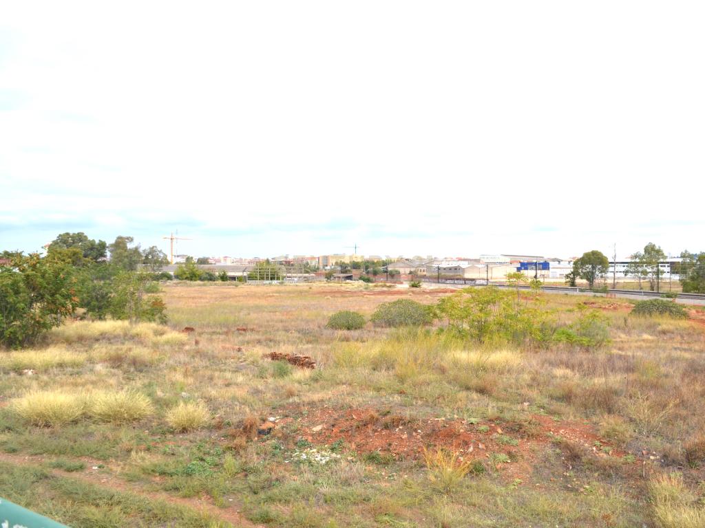 undefined - Image 10
