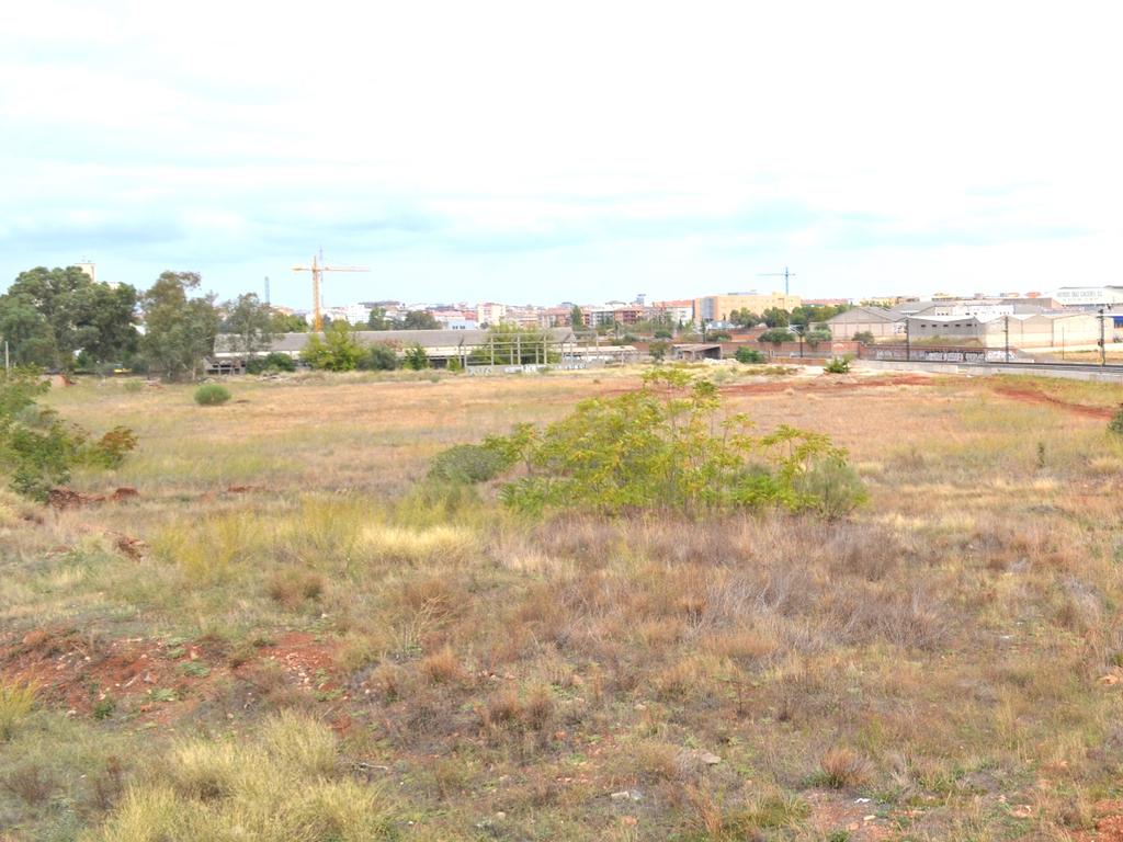 undefined - Image 11