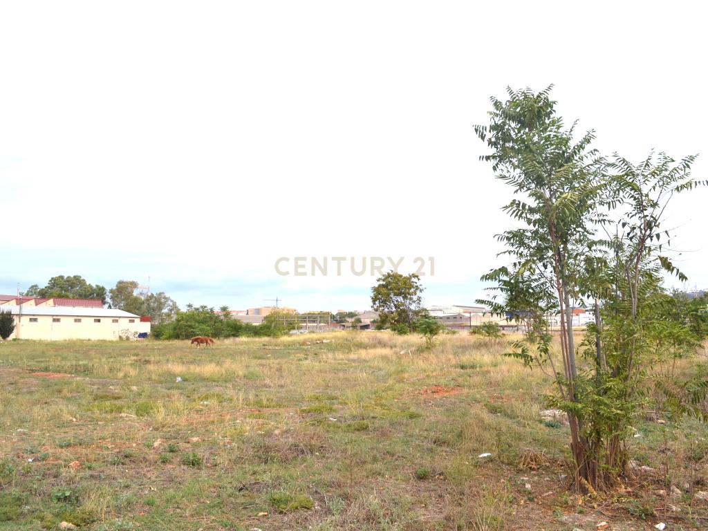 undefined - Image 2