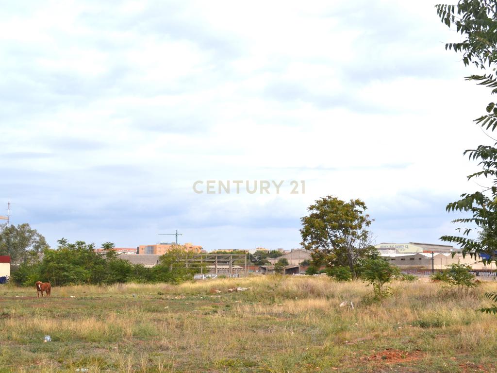 undefined - Image 1