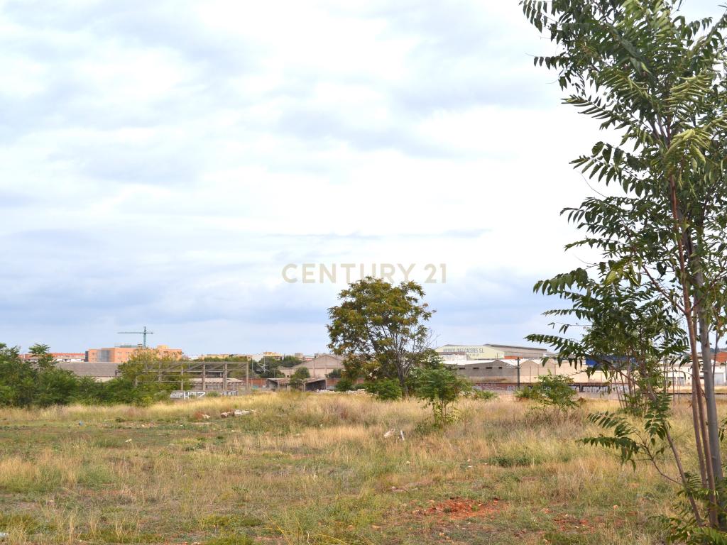 undefined - Image 4
