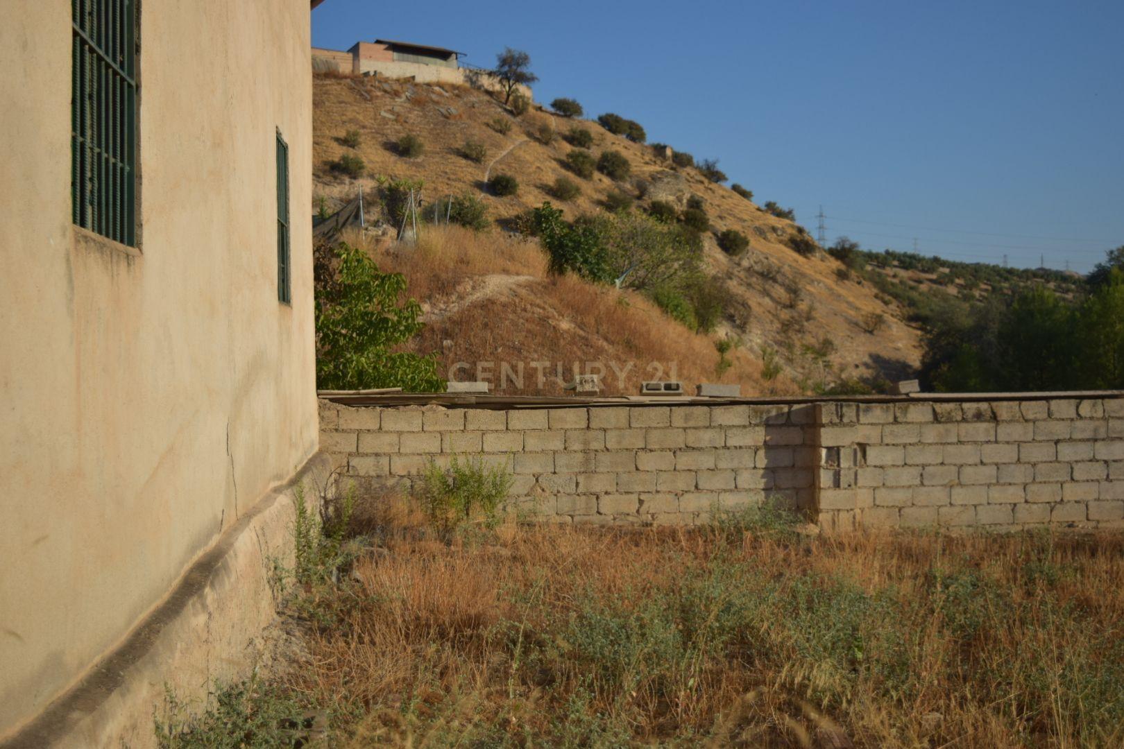 undefined - Image 6
