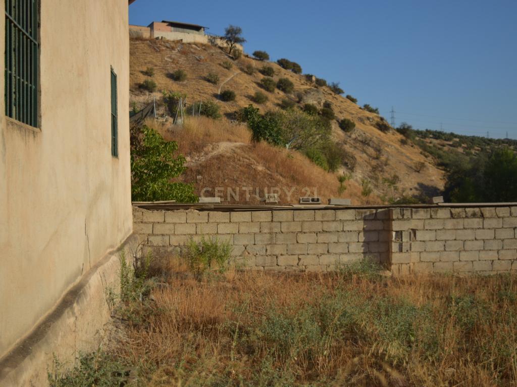 undefined - Image 6