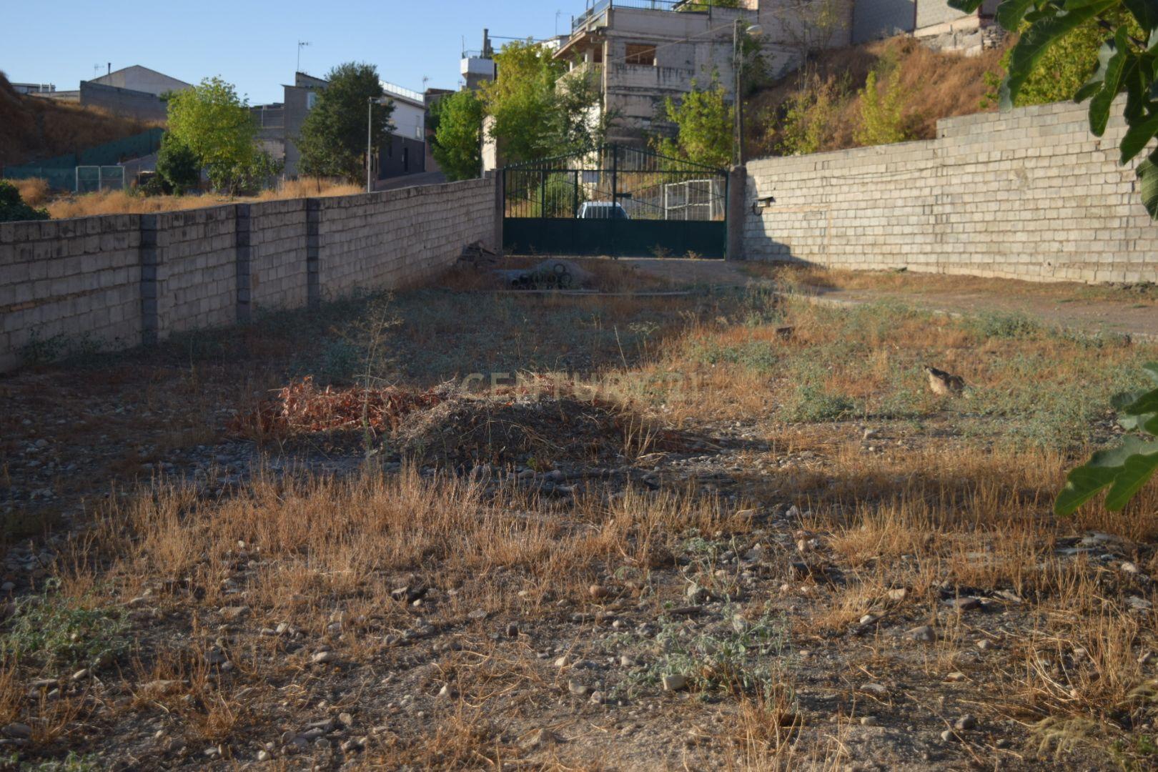 undefined - Image 8