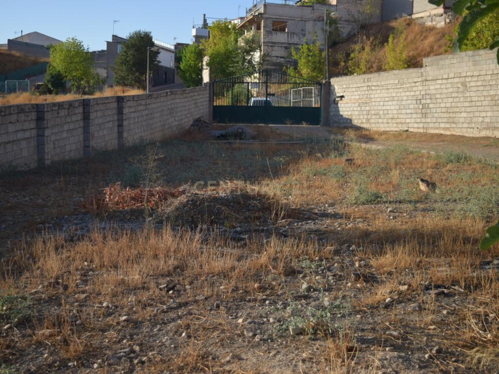 undefined - Image 8
