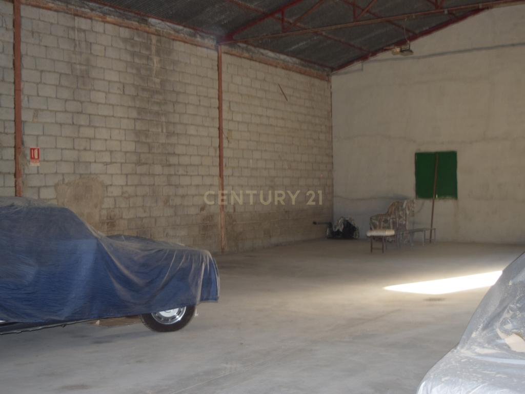 undefined - Image 11