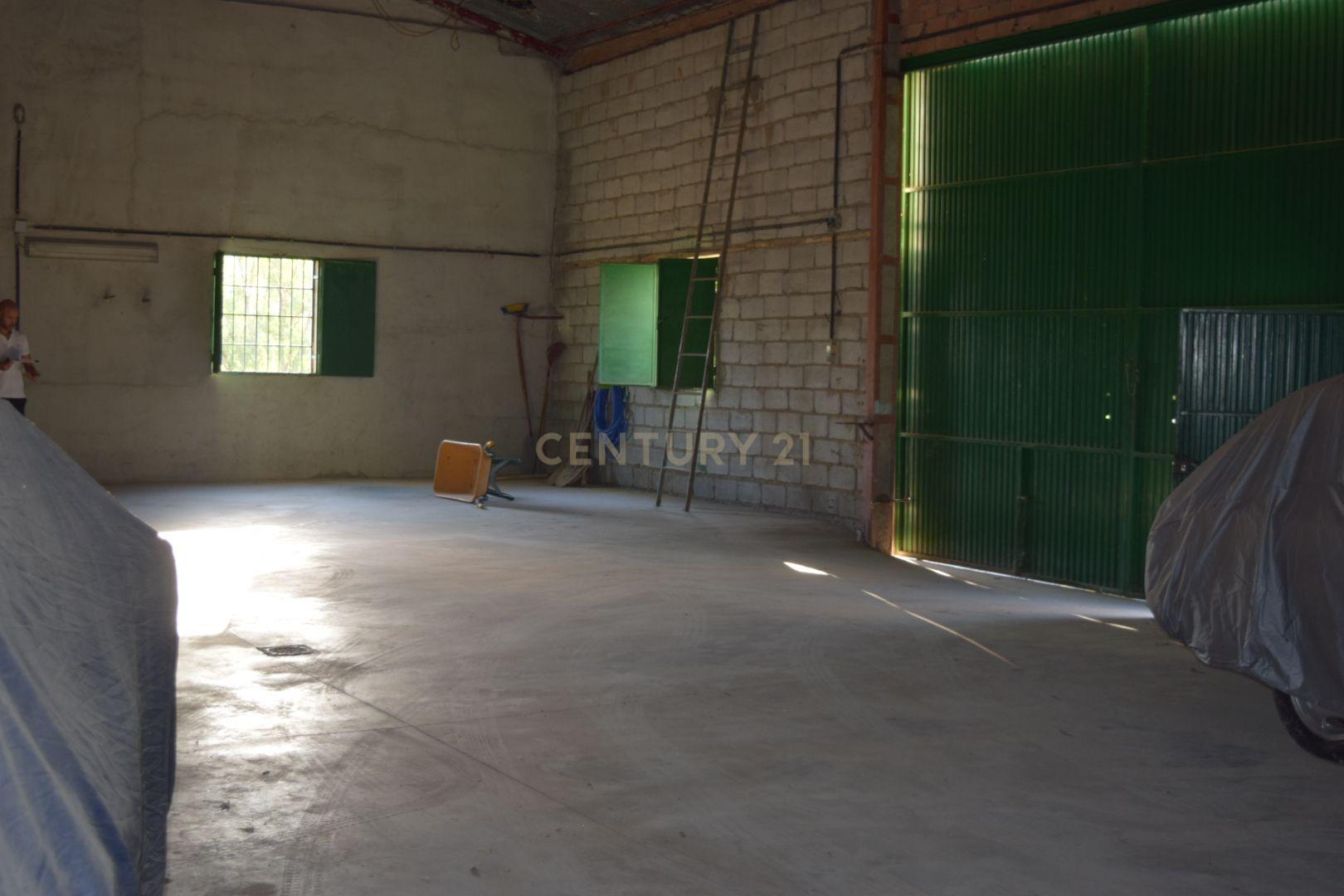 undefined - Image 12