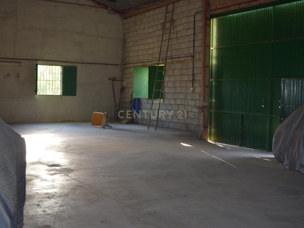 undefined - Image 12
