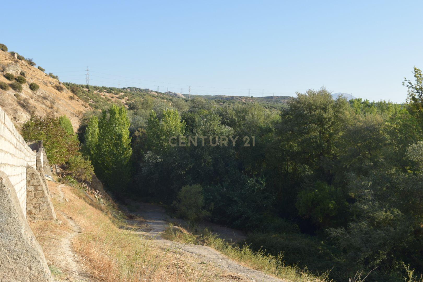undefined - Image 14