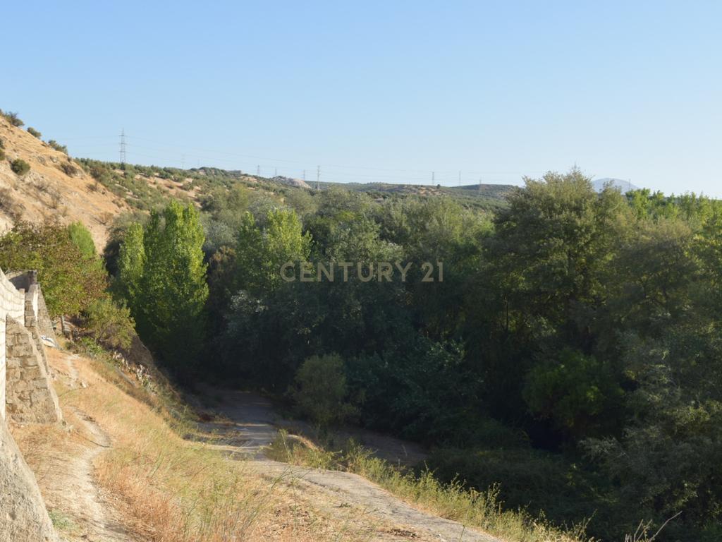 undefined - Image 14