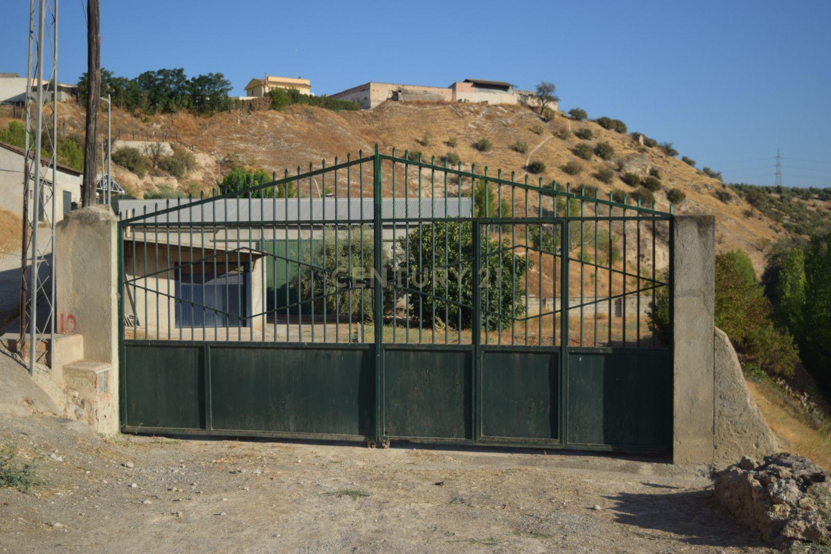 undefined - Image 1