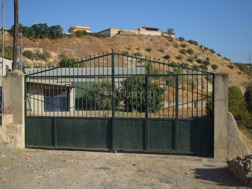 undefined - Image 1