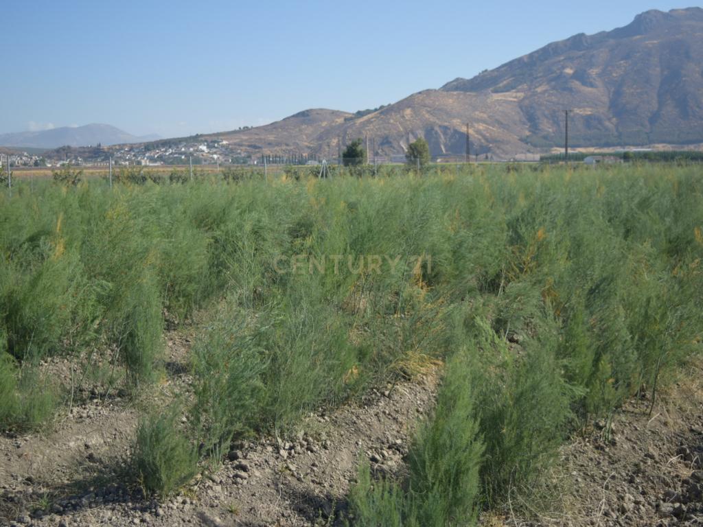 undefined - Image 13