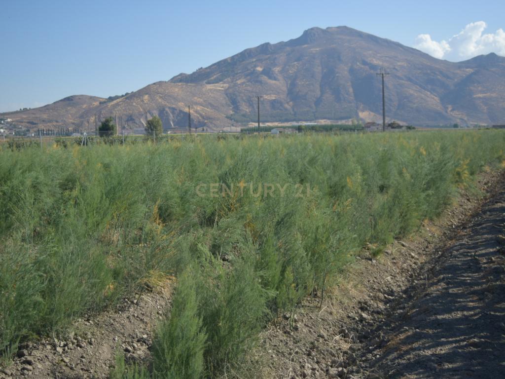 undefined - Image 5