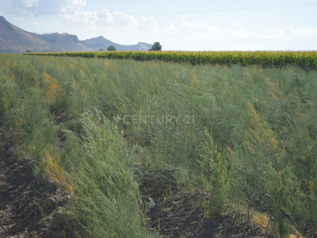 undefined - Image 11