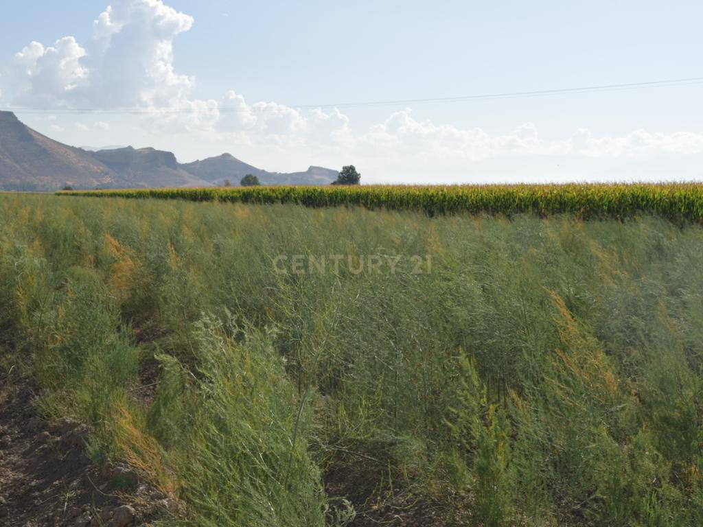undefined - Image 1