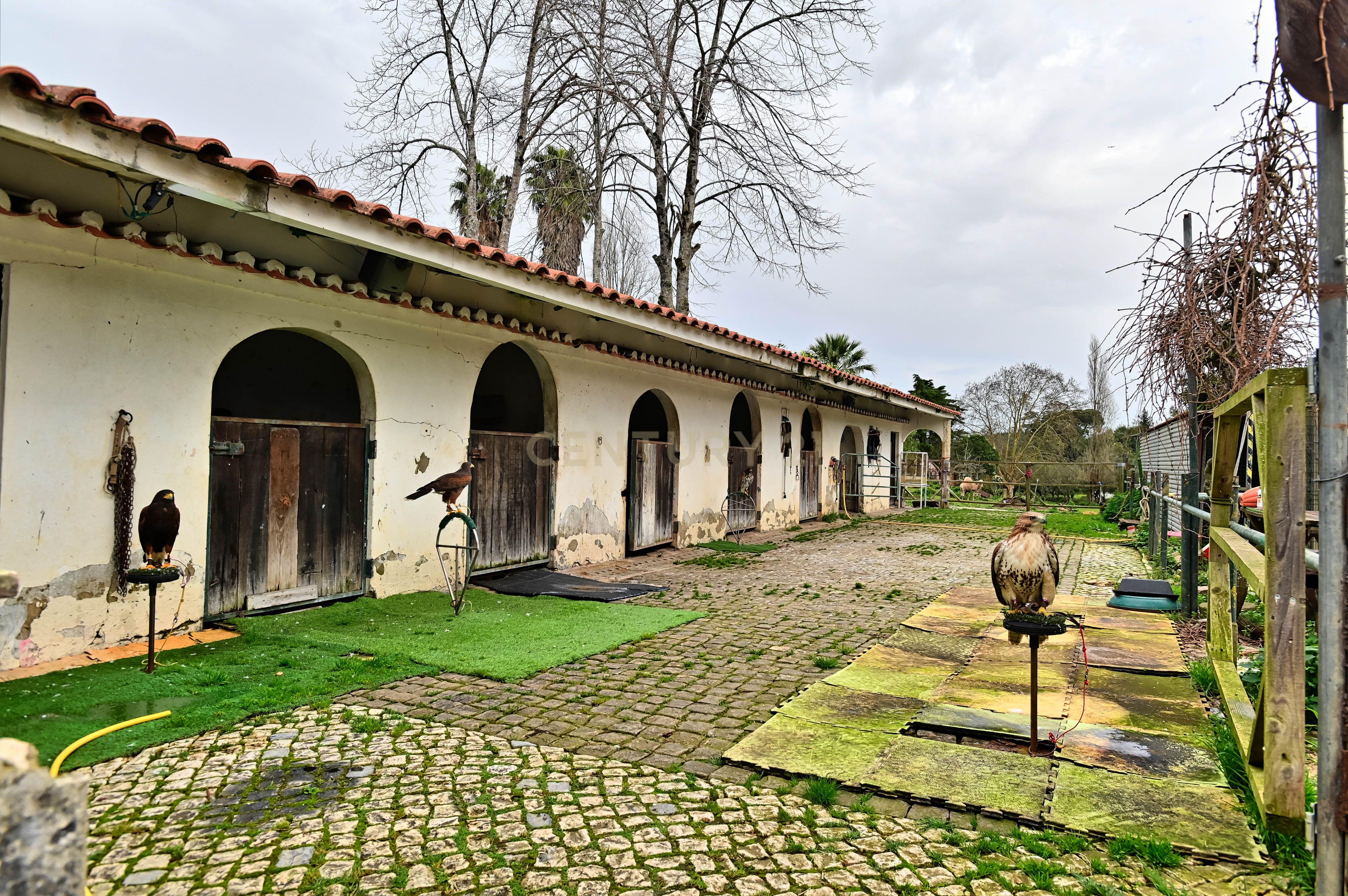 Quinta do Paraíso, Sintra. Aeroporto de Cascais a 25 minutos. - Image 3