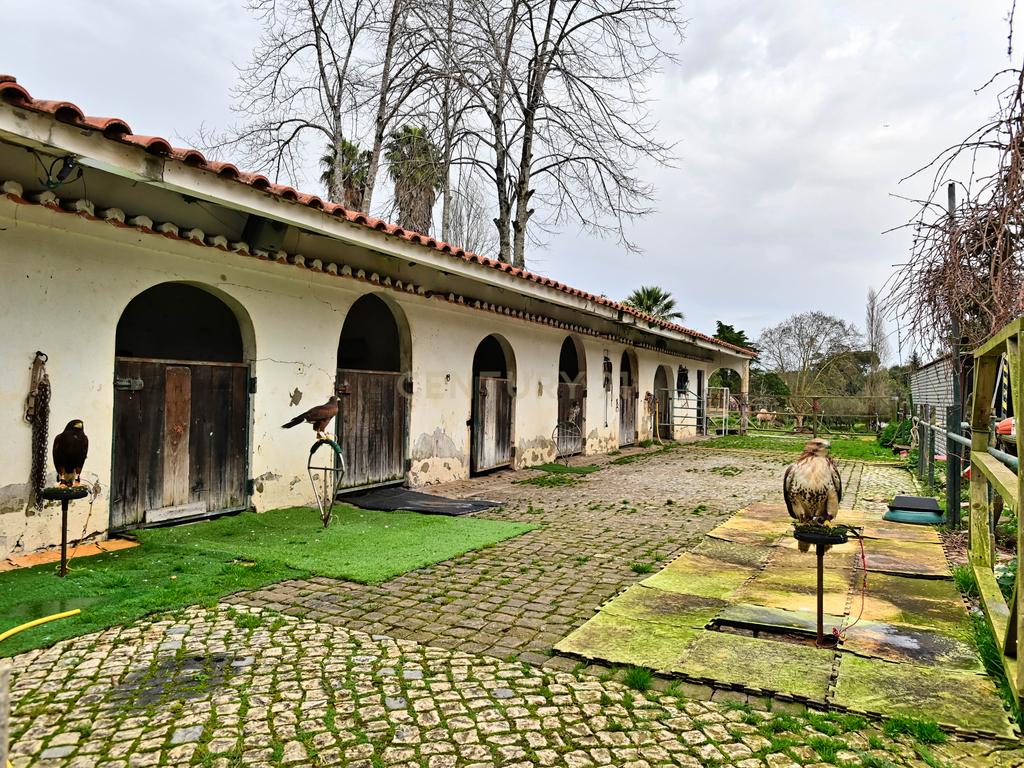 Quinta situada em Sintra, com um generoso terreno de 98.200 m². Localização privilegiada, a apenas 25 minutos de Cascais - Image 4