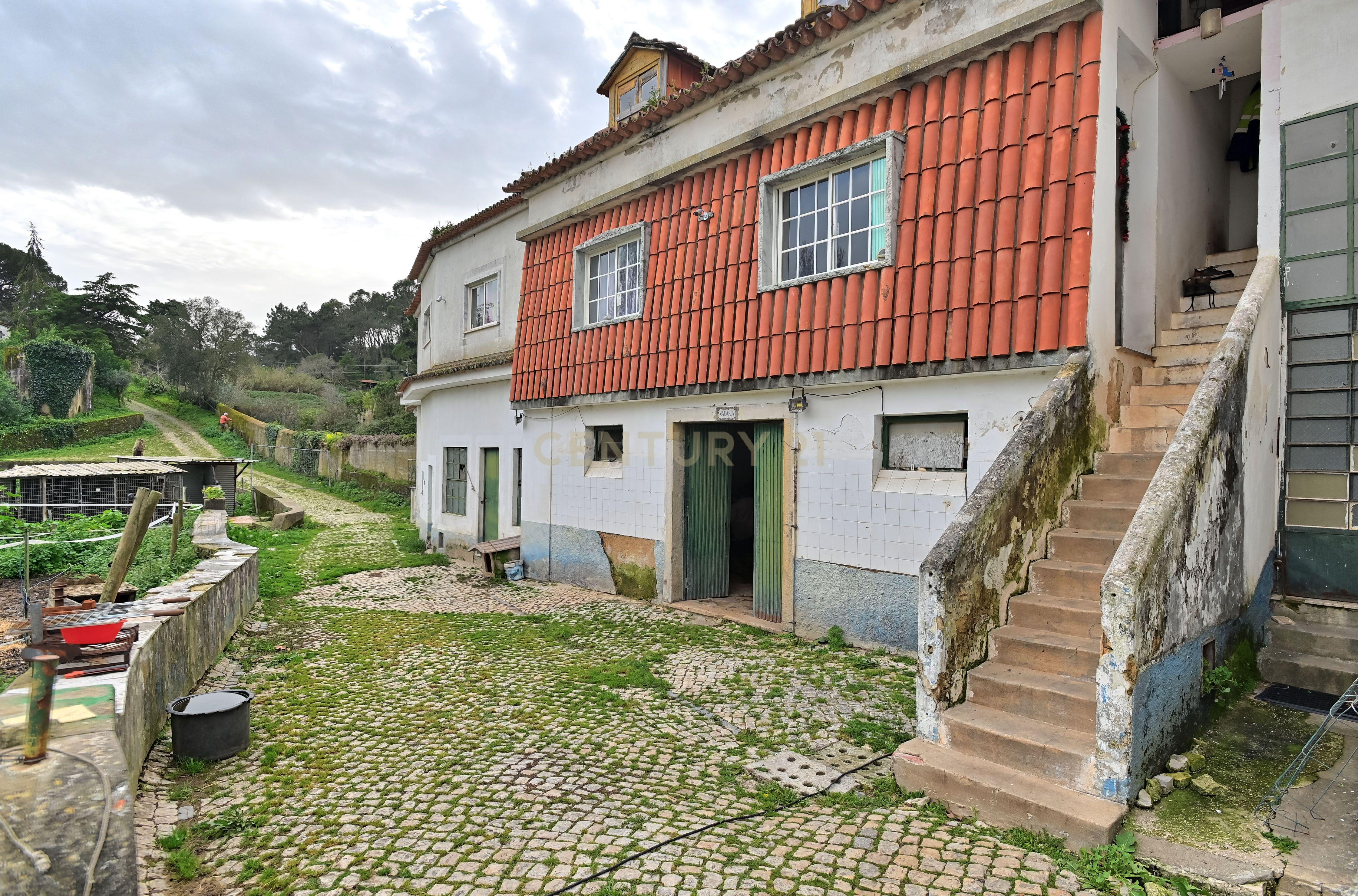 Quinta do Paraíso, Sintra. Aeroporto de Cascais a 25 minutos. - Image 10
