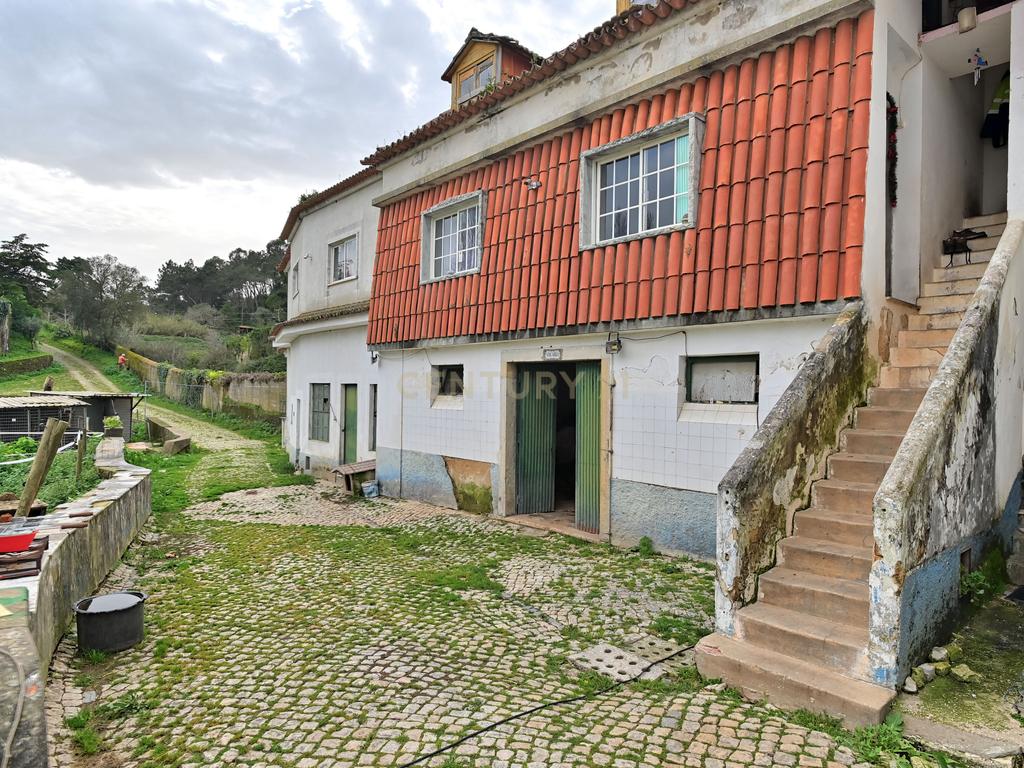 Quinta situada em Sintra, com um generoso terreno de 98.200 m². Localização privilegiada, a apenas 25 minutos de Cascais - Image 9