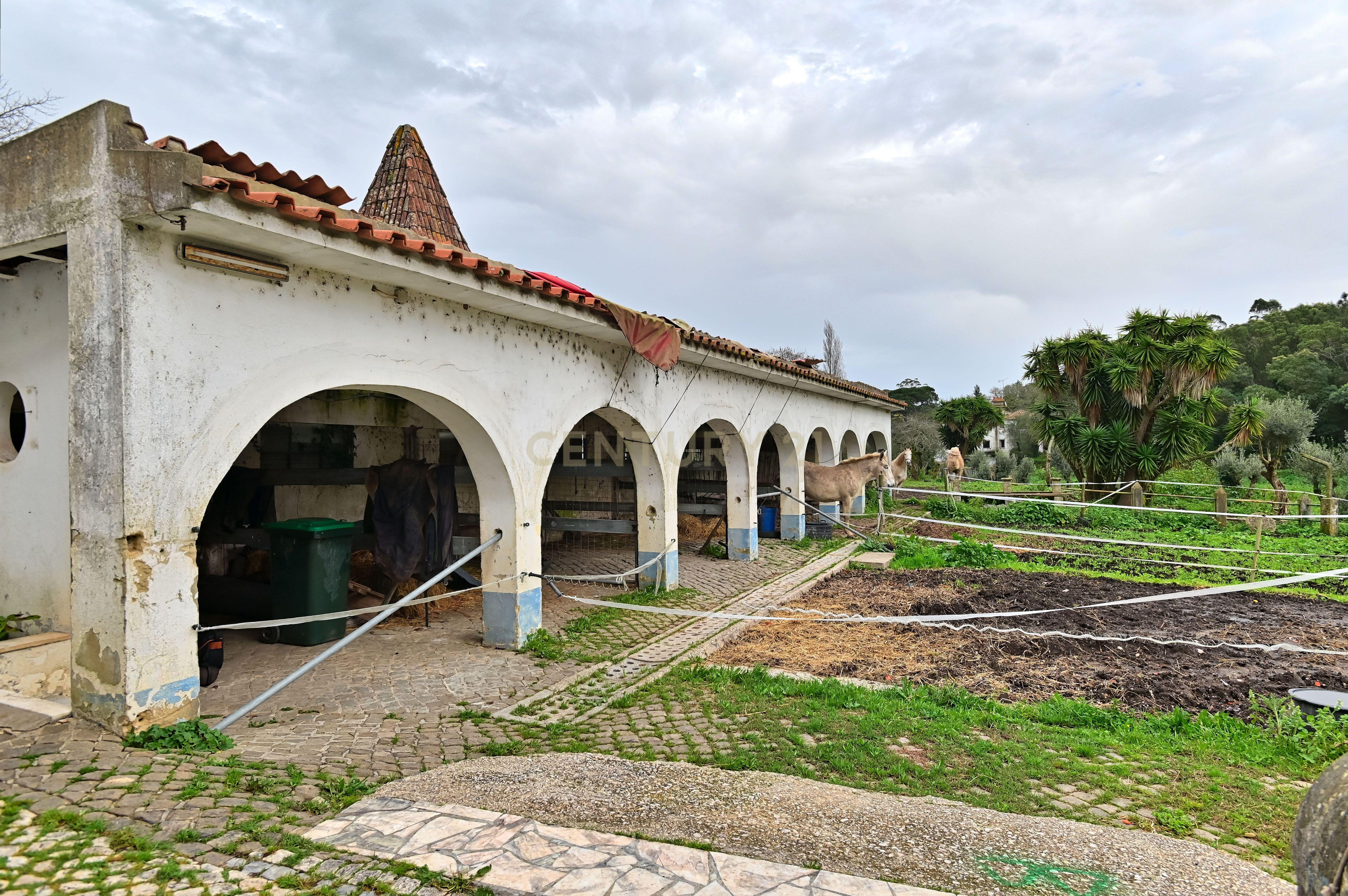 Quinta do Paraíso, Sintra. Aeroporto de Cascais a 25 minutos. - Image 4