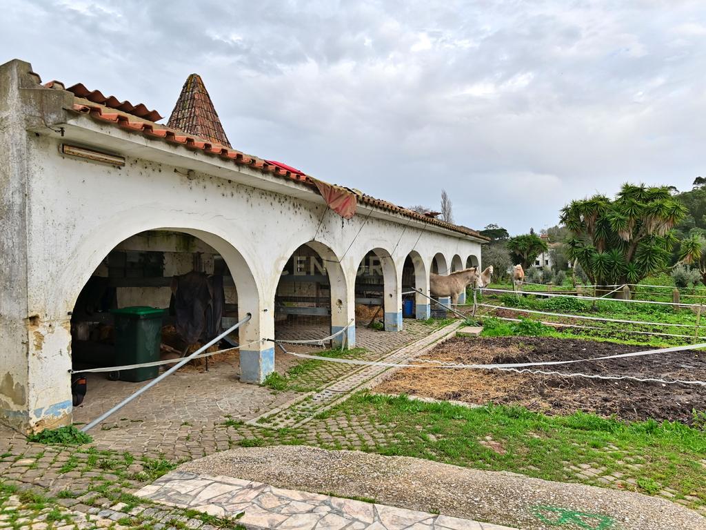 Quinta situada em Sintra, com um generoso terreno de 98.200 m². Localização privilegiada, a apenas 25 minutos de Cascais - Image 2