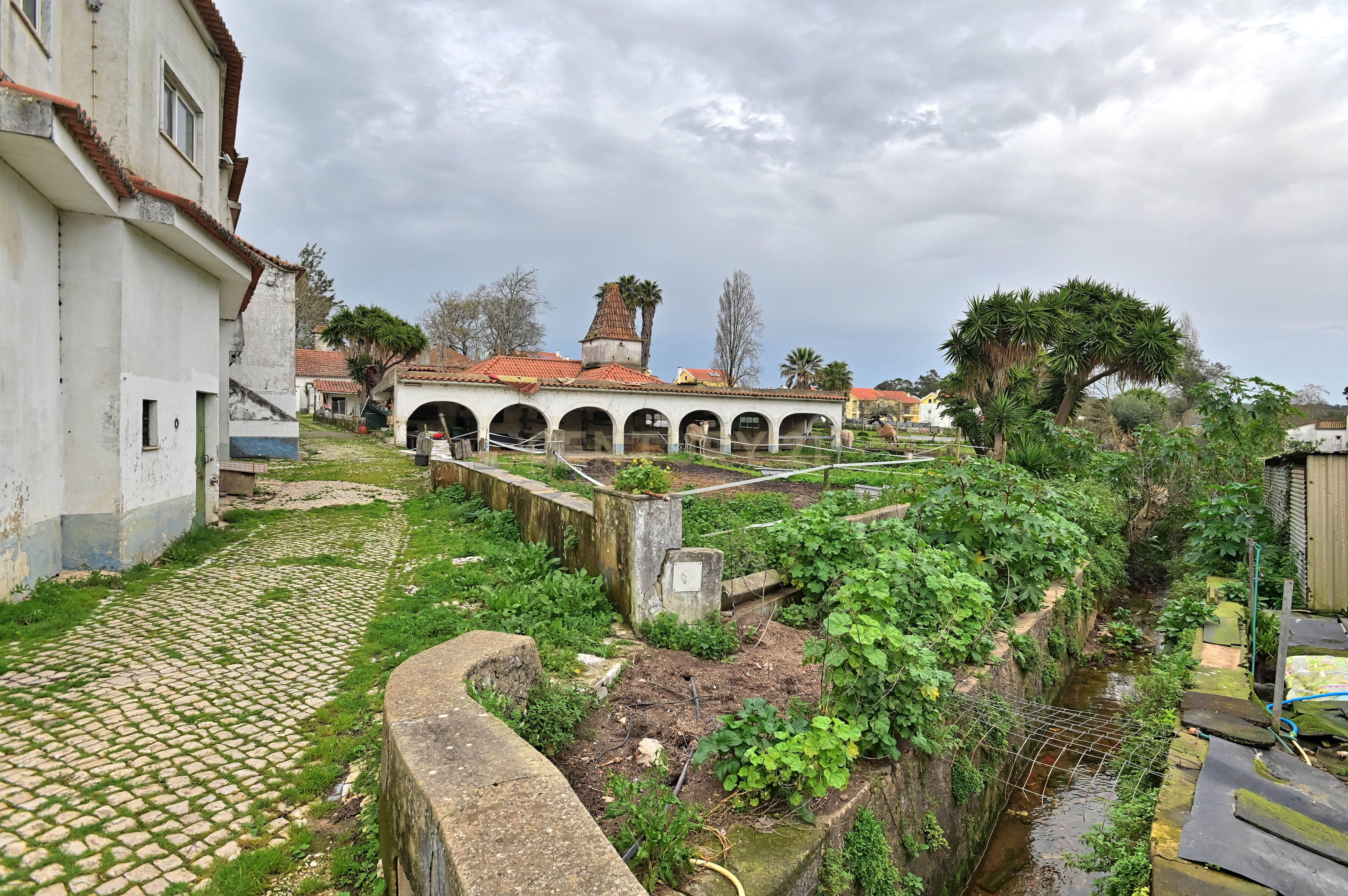 Quinta do Paraíso, Sintra. Aeroporto de Cascais a 25 minutos. - Image 9